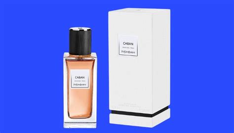 6 Fragrances Similar To YSL Caban [Must Try Alternatives].